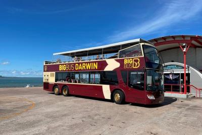 Darwin Shore Excursion: Hop-on Hop-off Bus Tour Darwin Shore Excursion: Hop-on Hop-off Bus Tour