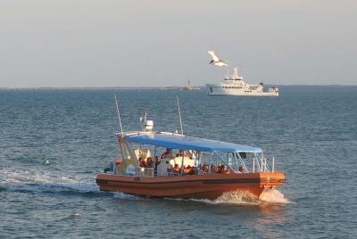 1-Hour Darwin Harbour Highlights Cruise 1-Hour Darwin Harbour Highlights Cruise