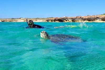 Turtle Tour - Ningaloo Reef Half Day Sea Kayak and Snorkel Tour Turtle Tour - Ningaloo Reef Half Day Sea Kayak and Snorkel Tour