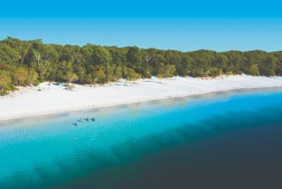 Lake McKenzie Full-Day Tour with Lunch from Hervey Bay Lake McKenzie Full-Day Tour with Lunch from Hervey Bay