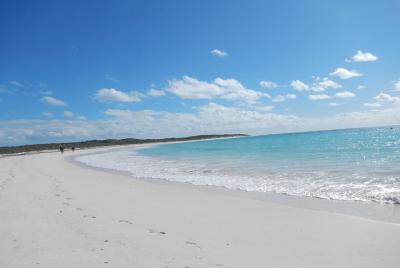 Shipwreck Special Nature Tour/Half Day Tour