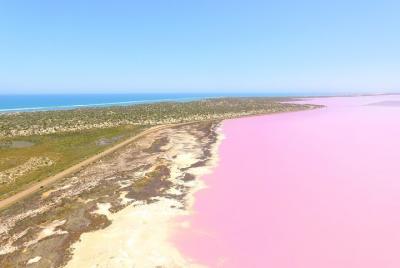 Pink Lake + Abrolhos Islands Scenic Flight