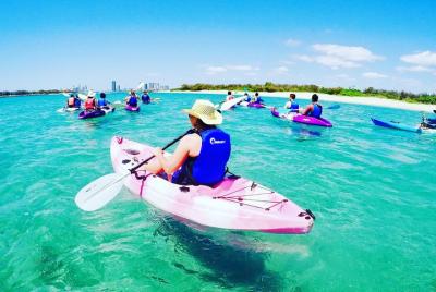 Half Day Dolphin Kayaking and Snorkeling Tour Half Day Dolphin Kayaking and Snorkeling Tour
