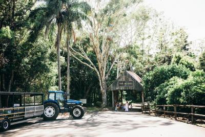 Tropical Fruit World Farm Full Tour  Tropical Fruit World Farm Full Tour