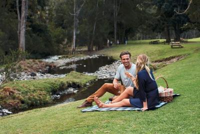 Mt Tamborine - Hinterland Wonders Self Guided Mt Tamborine - Hinterland Wonders Self Guided