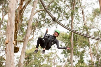 Shockwave Zip Coaster Experience in Lorne