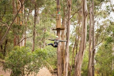 Super Circuit Ropes Course Adventure in Lorne