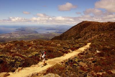 kunanyi / Mt. Wellington Guided Hiking Tour kunanyi / Mt. Wellington Guided Hiking Tour