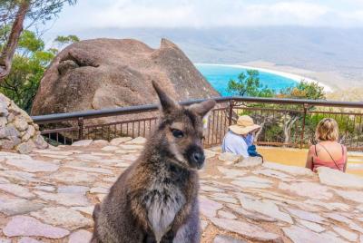 Wineglass Bay & Freycinet NP Full Day Tour from Hobart via Richmo Wineglass Bay & Freycinet NP Full Day Tour from Hobart via Richmo