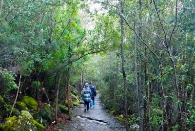 kunanyi/Mt Wellington Explorer Bus - One Way Tour kunanyi/Mt Wellington Explorer Bus - One Way Tour