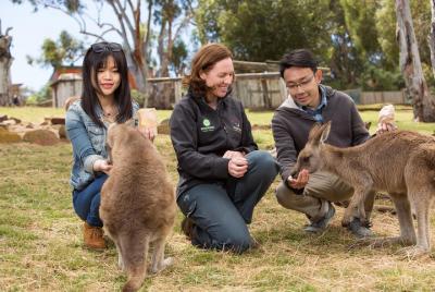 Bonorong Wildlife Park and Richmond Afternoon Tour from Hobart Bonorong Wildlife Park and Richmond Afternoon Tour from Hobart