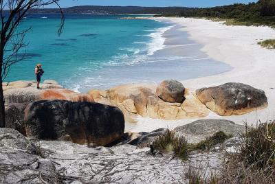2-Day Tas East Coast Escape Tour including Bay of Fires, Wineglas