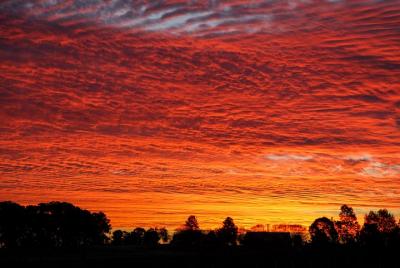 Private Full-Day Wine Tour in Hunter Valley Private Full-Day Wine Tour in Hunter Valley