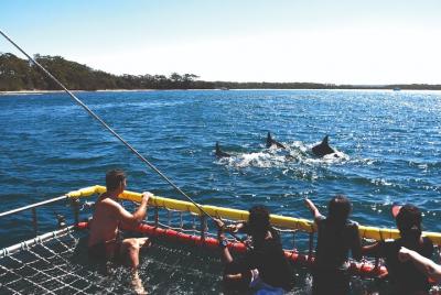 Jervis Bay Boom Netting and Dolphins Tour Jervis Bay Boom Netting and Dolphins Tour