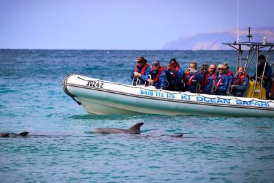 Kangaroo Island 75-Minute Ocean Safari Kangaroo Island 75-Minute Ocean Safari