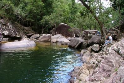 Platypus and Rainforest Eco Safari