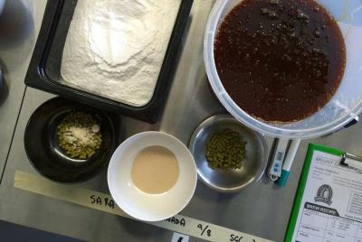 Hands on Brewing Experience