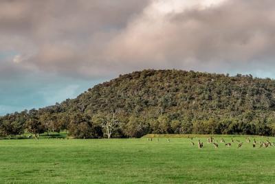 Baldwins Bluff Guided Hike