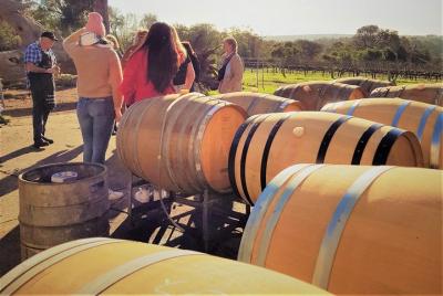 The All About Margaret River Tour: Wine, Coffee, Lunch and Forest The All About Margaret River Tour: Wine, Coffee, Lunch and Forest