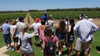Margaret River Tour: The Full Bottle Margaret River Tour: The Full Bottle