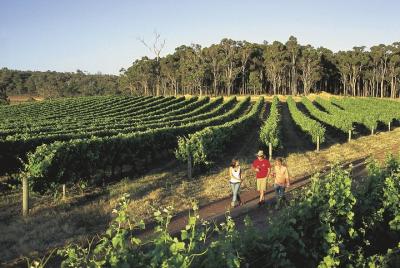 Margaret River, Caves, Wine and Cape Leeuwin Lighthouse Tour from Margaret River, Caves, Wine and Cape Leeuwin Lighthouse Tour from