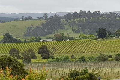 Yarra Valley Wine Tasting Day Tour from Melbourne Yarra Valley Wine Tasting Day Tour from Melbourne