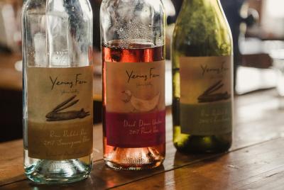 Yarra Valley wine, bubbles and gin tour! Yarra Valley wine, bubbles and gin tour!
