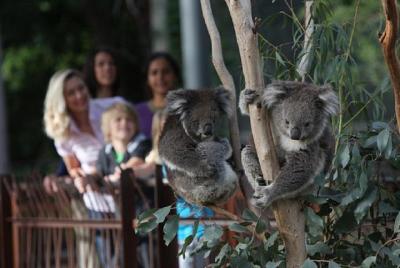 Australian Wildlife Tour at Melbourne Zoo Ticket Australian Wildlife Tour at Melbourne Zoo Ticket