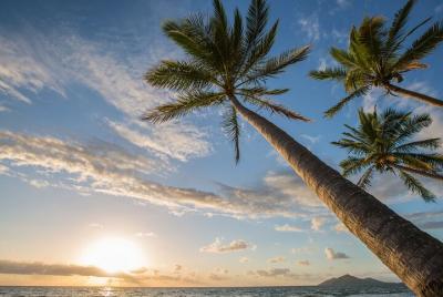 Private Transfer to or from Cairns Airport and Mission Beach Private Transfer to or from Cairns Airport and Mission Beach