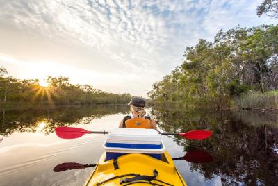 Self-Guided Noosa Everglades Kayak Tour Self-Guided Noosa Everglades Kayak Tour