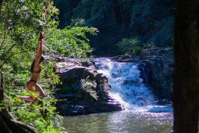 Full-Day Guided Hinterland Adventure Tour in Queensland Full-Day Guided Hinterland Adventure Tour in Queensland