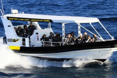 Mooloolaba Whale Watching Tour Mooloolaba Whale Watching Tour