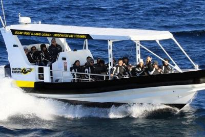 Mooloolaba Whale Watching Tour Mooloolaba Whale Watching Tour