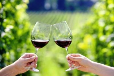 Bangalore Wine Tour - A Guided Group Tour Bangalore Wine Tour - A Guided Group Tour