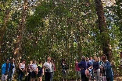 Breakfast Bushwalk Tour in Captain Cook Breakfast Bushwalk Tour in Captain Cook's Monument