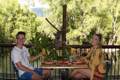 Hartley Hartley's Crocodile Adventures Breakfast with the Koalas