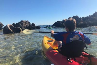 Penguin Island And Fremantle - Canoe, Chocolate & Coffee