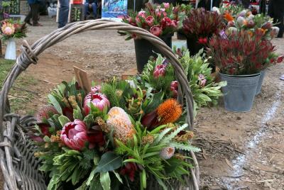 أماكن سياحيه فى فيليب ايلاند أنشطه يمكن أن تقوم بها فى  فيليب ايلاند 498087059