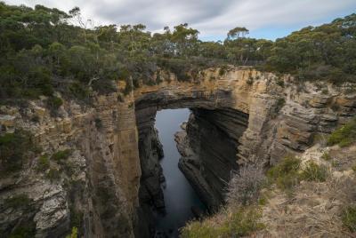 Half-Day Trip from Port Arthur: Tasman Peninsula with Roundtrip Port Transfer  Half-Day Trip from Port Arthur: Tasman Peninsula with Roundtrip Port Transfer