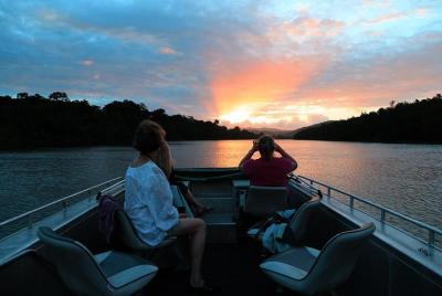 Daintree River Sunset Cruise