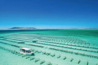 Coffin Bay Day Tour - A Taste of Coffin Bay Coffin Bay Day Tour - A Taste of Coffin Bay