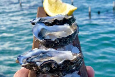 Coffin Bay Oysters, Ocean & Nature Tour Coffin Bay Oysters, Ocean & Nature Tour
