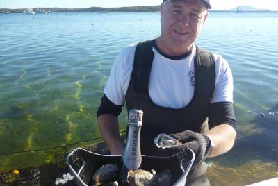 Coffin Bay Oyster Farm & Tasting Tour Coffin Bay Oyster Farm & Tasting Tour