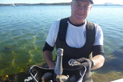 Oyster Farm and Tasting Tour with Hotel Pick-up and return from P Oyster Farm and Tasting Tour with Hotel Pick-up and return from P