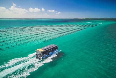 Experience Coffin Bay Oyster Farm and Bay Tour Experience Coffin Bay Oyster Farm and Bay Tour