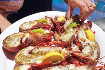 Luxe Island Seafood Cruise - Rottnest Island Luxe Island Seafood Cruise - Rottnest Island
