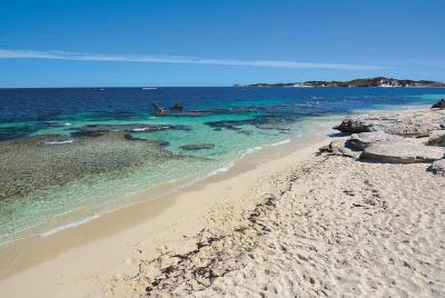 Rottnest Island Bayseeker Tour  Rottnest Island Bayseeker Tour