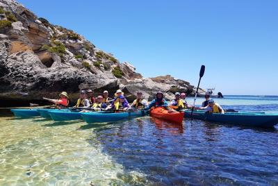 Rottnest Glass Bottom Kayaking Tour Rottnest Glass Bottom Kayaking Tour