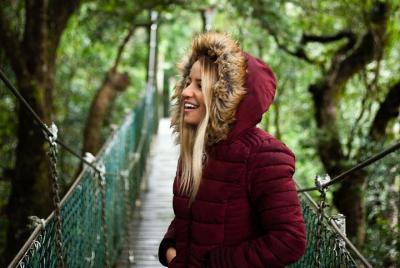 O O'Reilly's & Lamington National Park incl. Alpaca Farm + Vineyard