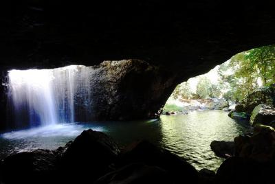 Natural Arch, Rainforest & Volcano Canyon - Private Half Day Tour Natural Arch, Rainforest & Volcano Canyon - Private Half Day Tour